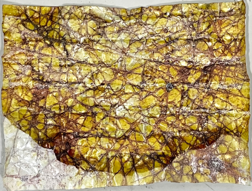 E1_Otherness, 2026