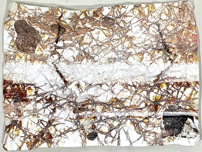 E2_Otherness, 2026