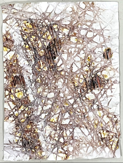 S2_Otherness, 2026